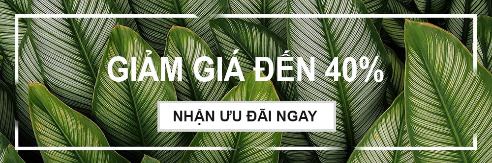 Trang chủ 44 banner cay xanh 001