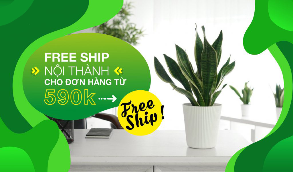 Trang chủ 22 banner1