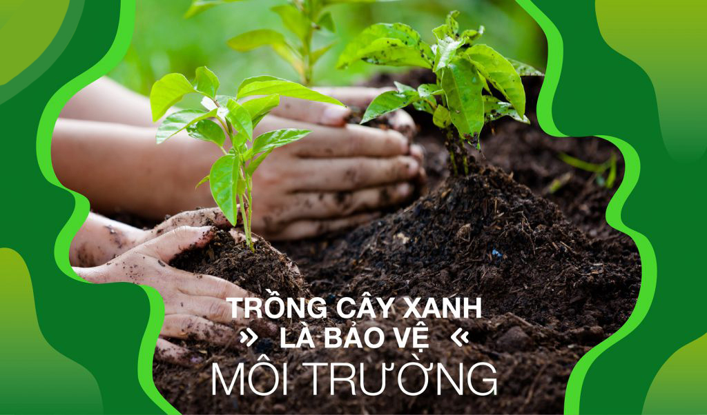 Trang chủ 23 banner2