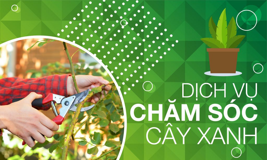 Trang chủ 27 banner4