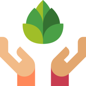 Trang chủ 29 plant